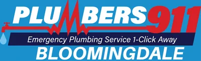 Plumbers 911 Bloomingdale